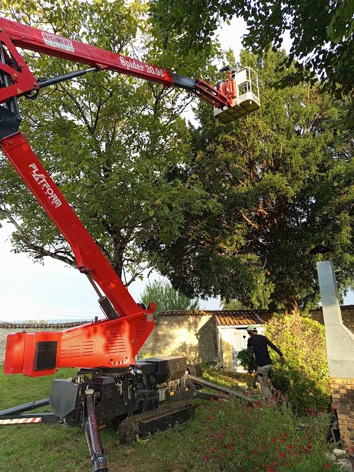 Réalisation paysagiste
