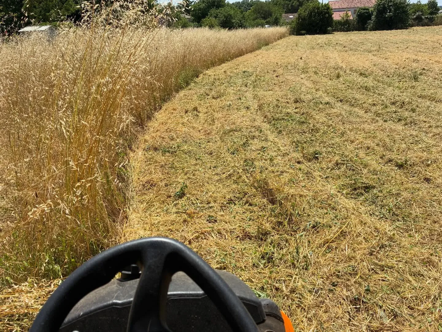 Réalisation paysagiste