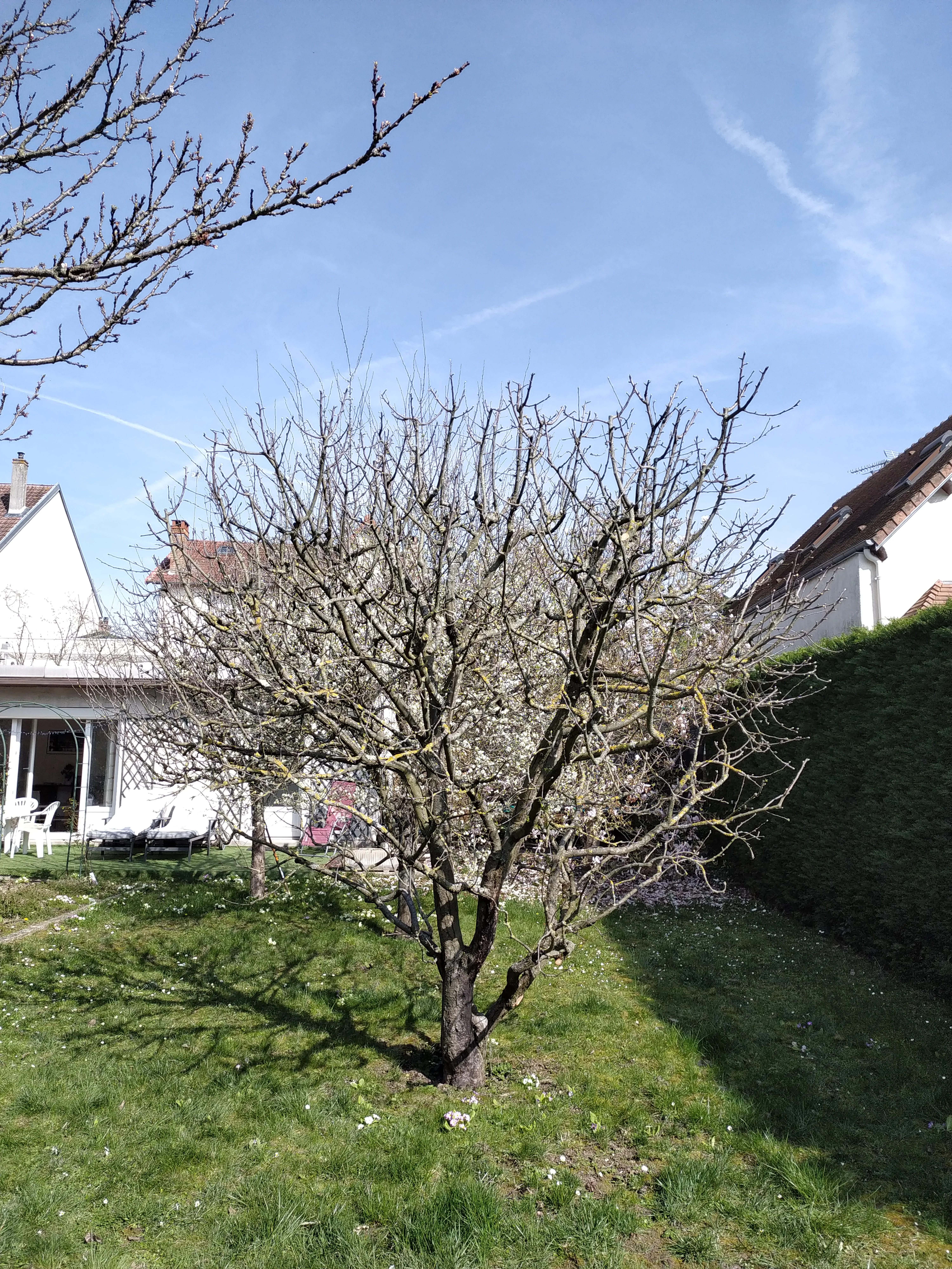 Réalisation paysagiste