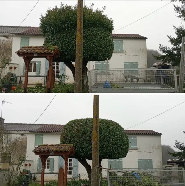 Réalisation paysagiste
