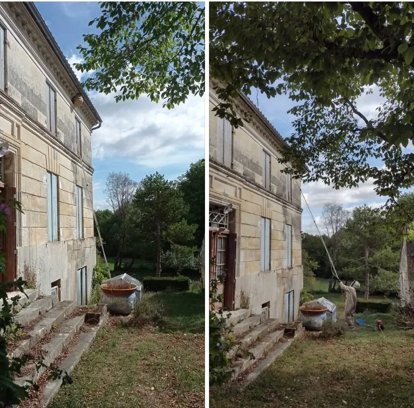 Réalisation paysagiste