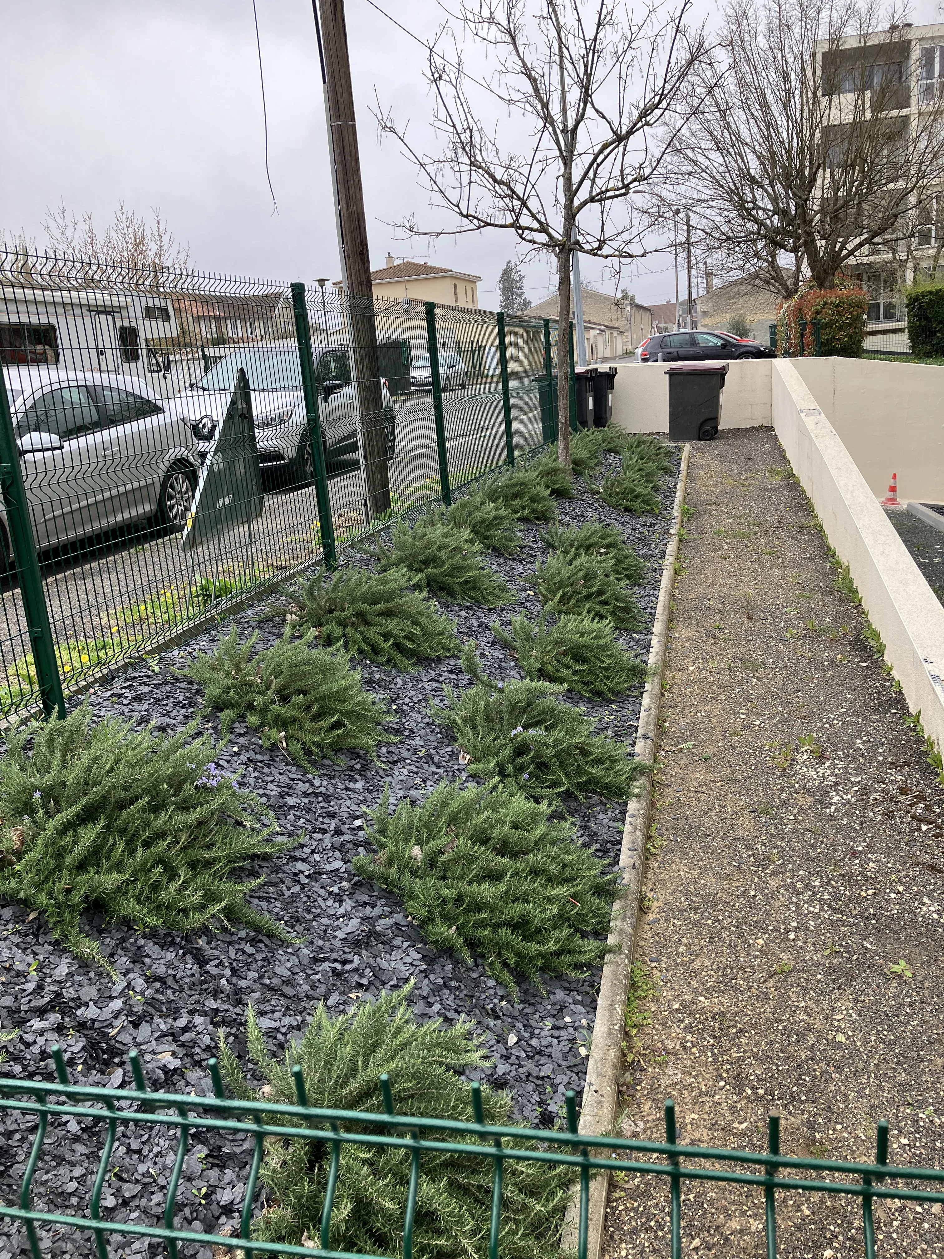 Réalisation paysagiste