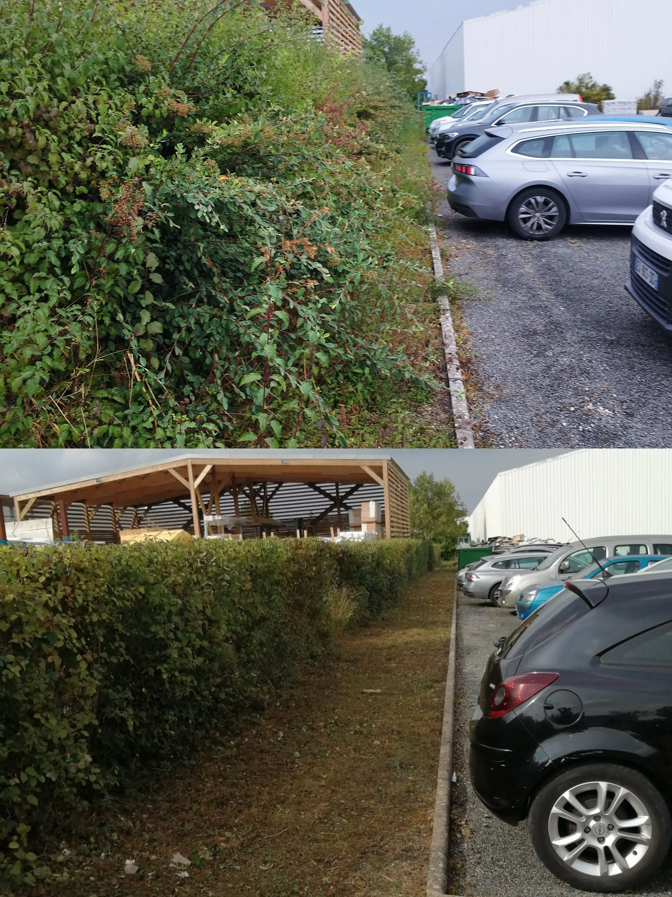Réalisation paysagiste